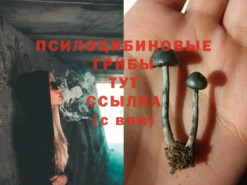 наркота  МЕГА ссылки  Псилоцибиновые грибы MAGIC MUSHROOMS  Артёмовский 